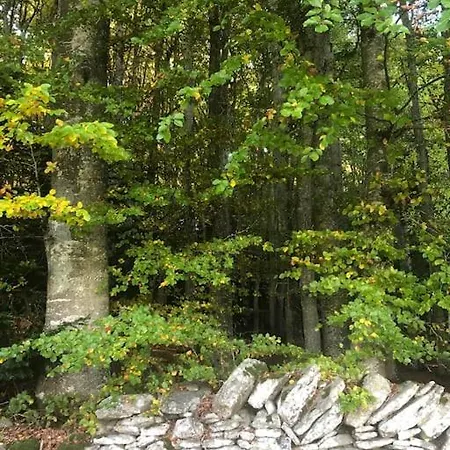 Gite De Charme Le Havre De Paix D'arcelet Lägenhet Le Chambon-sur-Lignon