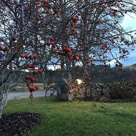 Lägenhet Gite De Charme Le Havre De Paix D'arcelet Le Chambon-sur-Lignon