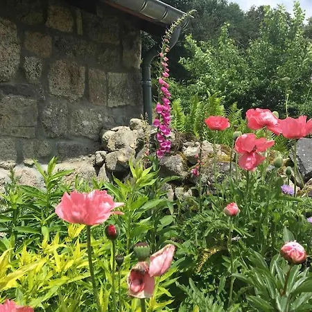 Gite De Charme Le Havre De Paix D'arcelet Lägenhet Le Chambon-sur-Lignon